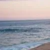 emiliomares - @emiliomares2 - TikTok