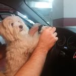 Emilio Pagán Castaño - @emipagann - Instagram