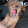 _.Emilio_Reyes._ - @_.emilio_reyes._ - TikTok