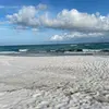 Emilio Reyna - @emilio.reyna914 - TikTok