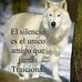 Emilio romano - Facebook