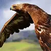 Emilio Salas - @emilio.salas75 - TikTok