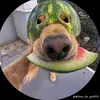 Emilio Ulloa - @emilio.ulloa45 - TikTok