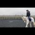 Emily Abrahamson Freelance Groom and Rider - Facebook