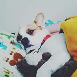 emily Akers - @emily_akers_37 - Instagram