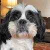 Emily Akers - @emilyakers_ - TikTok