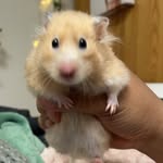 Emily Akers - @br00keemily - Instagram