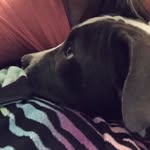 Emily Alfano - @e_alfanos_finsta - Instagram