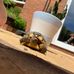 Emily Allard - Facebook