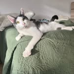 ea - @emilyaltschuler - Instagram