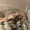 emily - @emilyamendano - TikTok