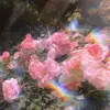 Emily Appleton - @emily.appleton0 - TikTok