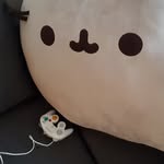 Emily Arnott - @sherbet_paradise - Instagram