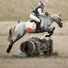 atkinson - @emily_atkinson26 - TikTok