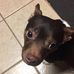 Emily Atkinson - Facebook