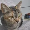 Emily Augustin - @emily.augustin2 - TikTok