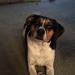 Emily Baer - @emily_baer_17_ - Instagram