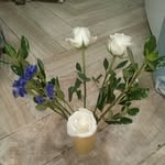 Emily Barba - @love_emily_2006 - Instagram