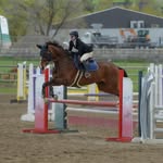 Emily Barry - @emilybarry.eq - Instagram