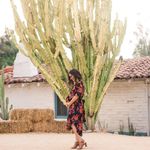 Emily - @emily__basile - Instagram