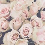 Emily Bastian - @photos.with.emily - Instagram