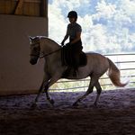 Emily Jenkins Bastian - @themindfulrider - Instagram