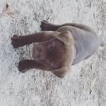 emily_batton - @emily_batton - Instagram
