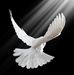 Batts Emily - Facebook