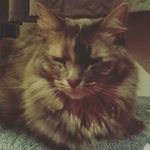 Emily Baumann - @bibi_buity_palast - Instagram
