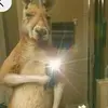 Emily Bausa - @emily.bausa - TikTok