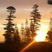 Emily Bay - Facebook