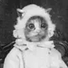 Emily Bays - @emilyrbays - TikTok