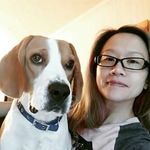 Emily - @emily_beagle - Instagram