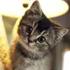 emilybear.xx - @emilybear.xx - TikTok