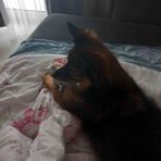 Emily Beardall - Facebook