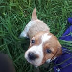 Emily Beaton - Facebook
