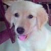 Emily Beckner Guilli - @user28660398 - TikTok