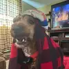 Emily Beech - @emily.beech3 - TikTok