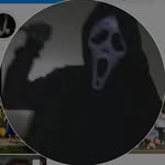 [Trashboat] - @emilybeechler1._ - Instagram