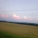 Emily Beer - Facebook