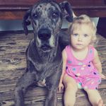 Emily Behm - @rmandjuno - Instagram