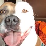 Emily behr - @emmmbear - Instagram