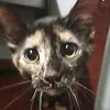 Emily Beisner - @emily.beisner - TikTok