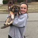 Samson Bence - @emily_bence_pup - Instagram