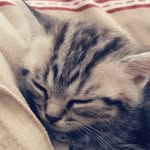 Sophie339 - @emilyberndt11 - Instagram