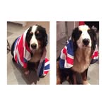 emily.oliver.the.berner - @emily.oliver.the.berner - Instagram