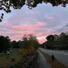 emily berryman - @emily.berryman13 - TikTok