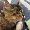 emily.bitar - @emily.bitar - TikTok