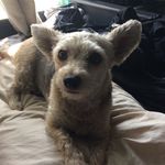 Emily Blas - @emily_idk123 - Instagram