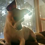 Emily Blazek - @emily.blazek - Instagram